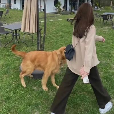 永恒站